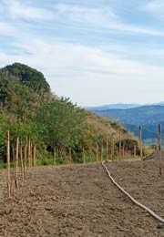 La preparazione del Terreno